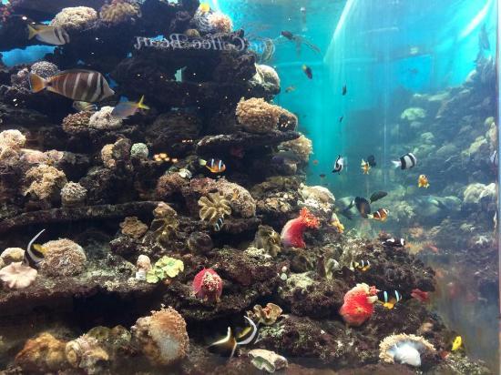 The Cresent Alışveriş Merkezi